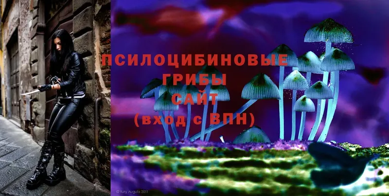 Галлюциногенные грибы Magic Shrooms  Дмитриев 