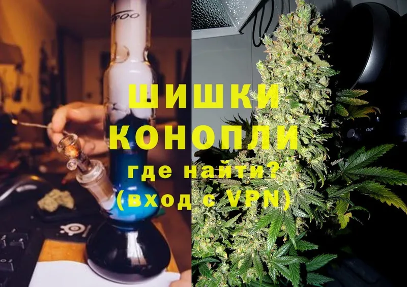 купить   Дмитриев  Конопля SATIVA & INDICA 